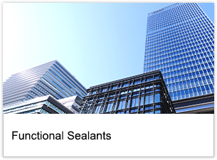 Functional Sealants