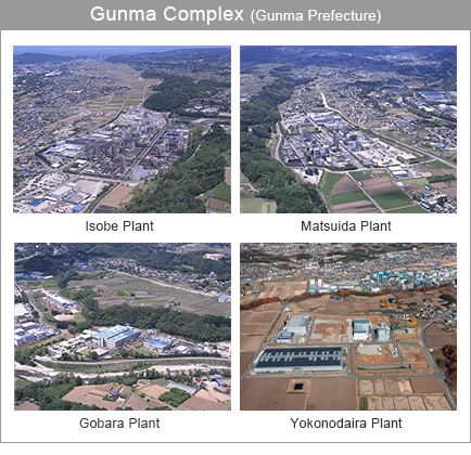 Gunma Complex