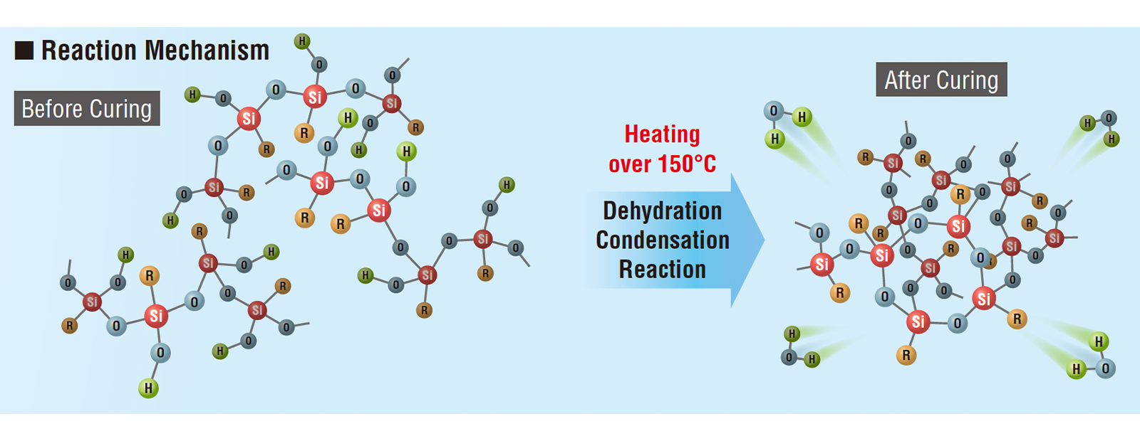 Dehydration condensation curing type Curing mechanism