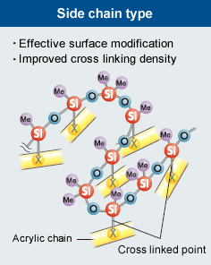 Side chain type