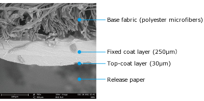 Molded sample cross section